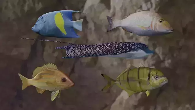 Fishes fish swimming in water 3D Model Collection Fishes fish swimming in water 3D Model Collection