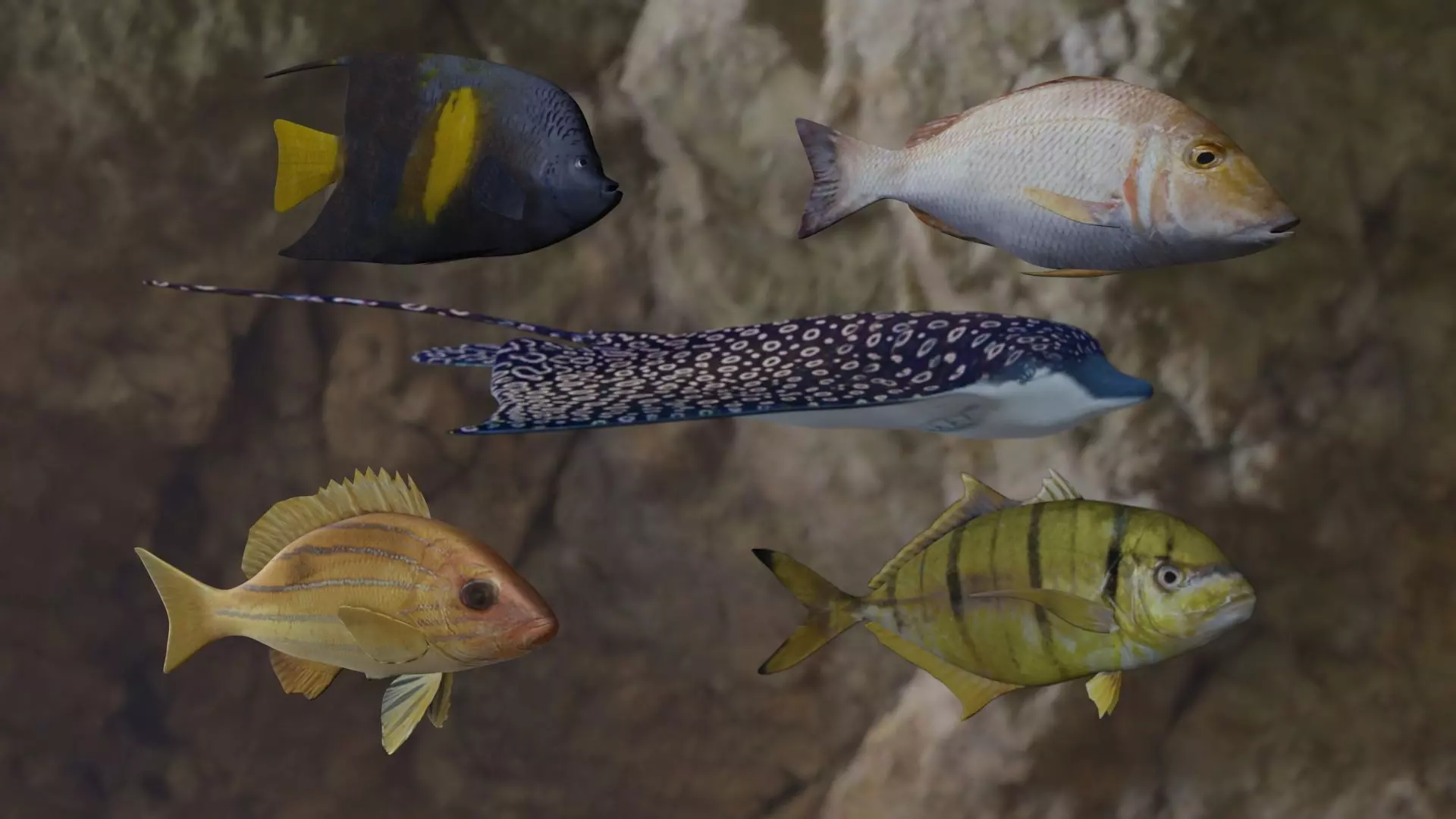 Fishes fish swimming in water 3D Model Collection_0