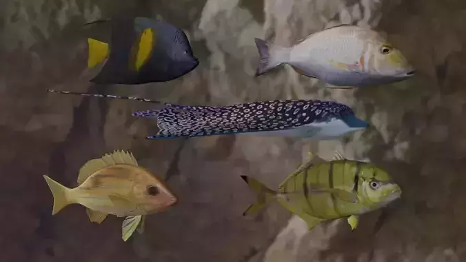 Fishes fish swimming in water 3D Model Collection Fishes fish swimming in water 3D Model Collection