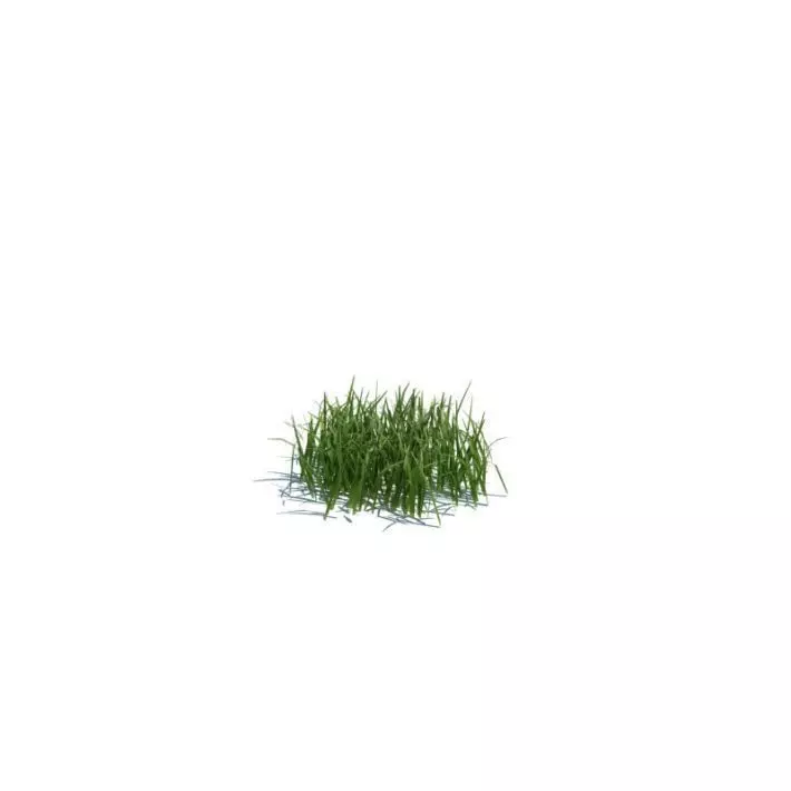 Green Simple Grass 3D model_0