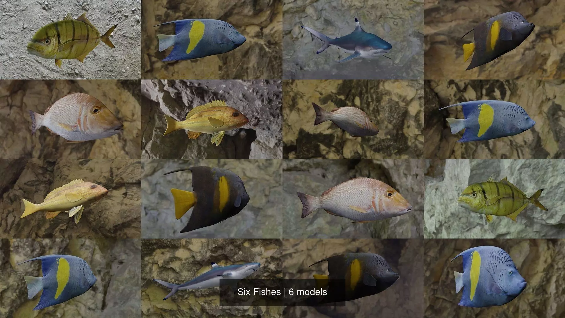 Six Fishes 3D Model Collection_1