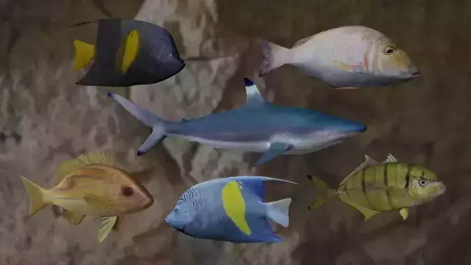 Six Fishes 3D Model Collection Six Fishes 3D Model Collection