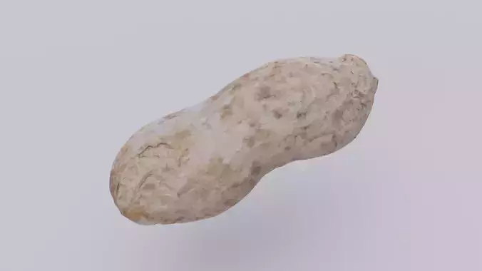 Photoscanned Realistic Salted Peanut