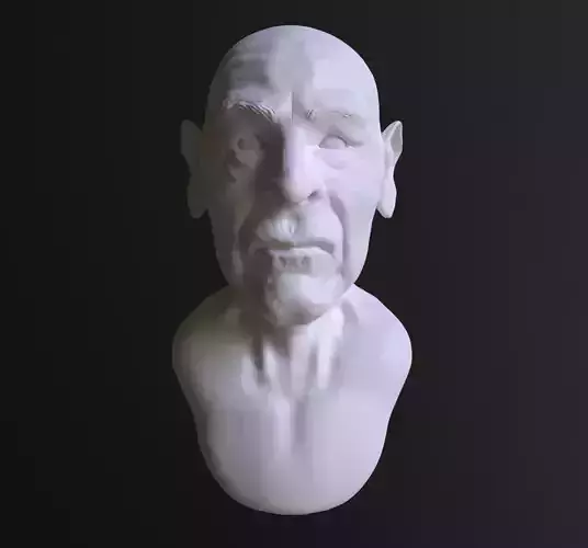 Old Man Bust  3d Model 