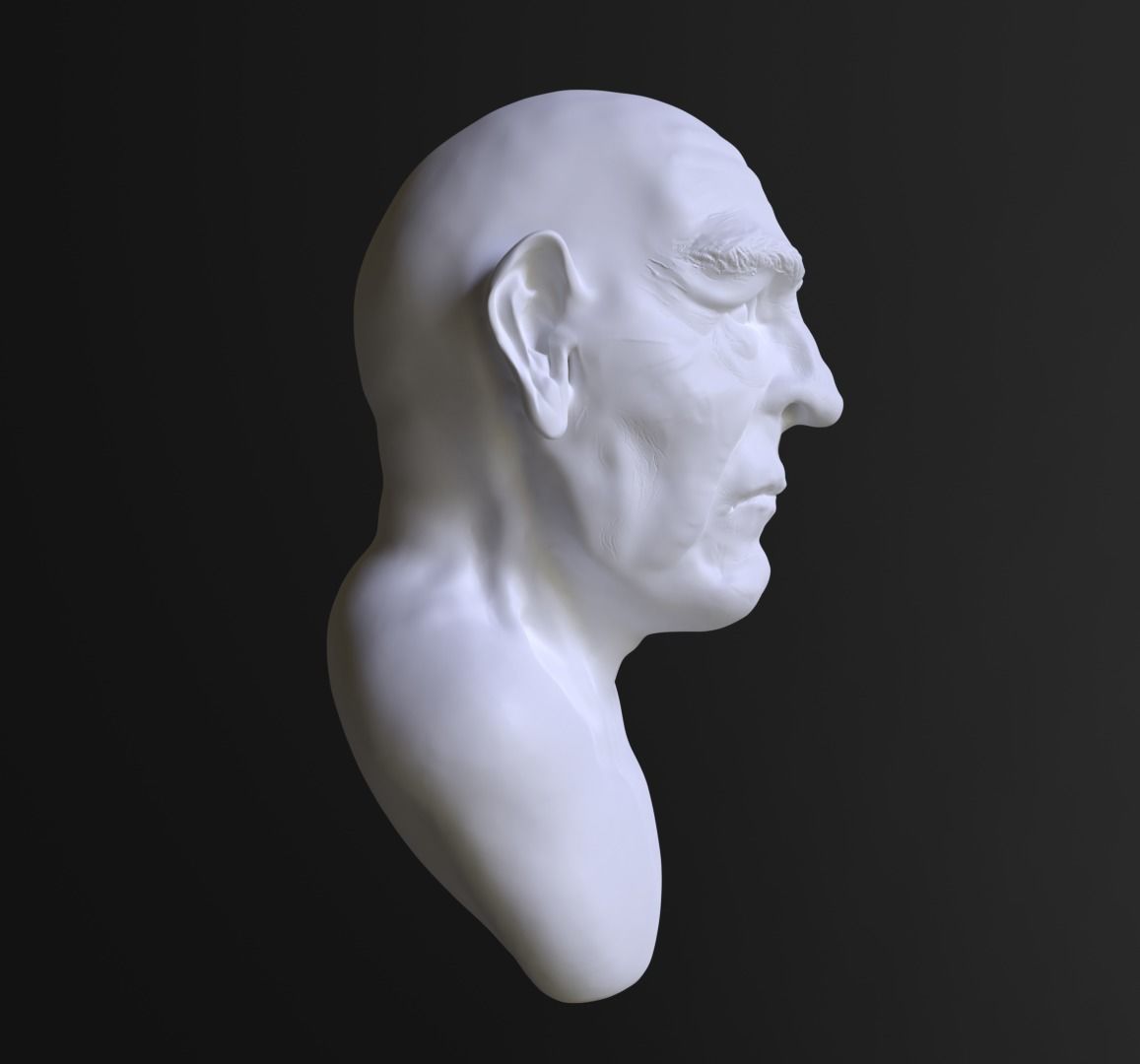 Old Man Bust  3d Model  3D model_2