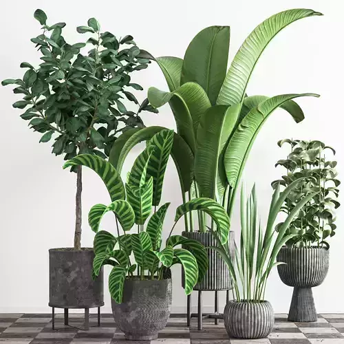 indoor plant stant 41 3D model