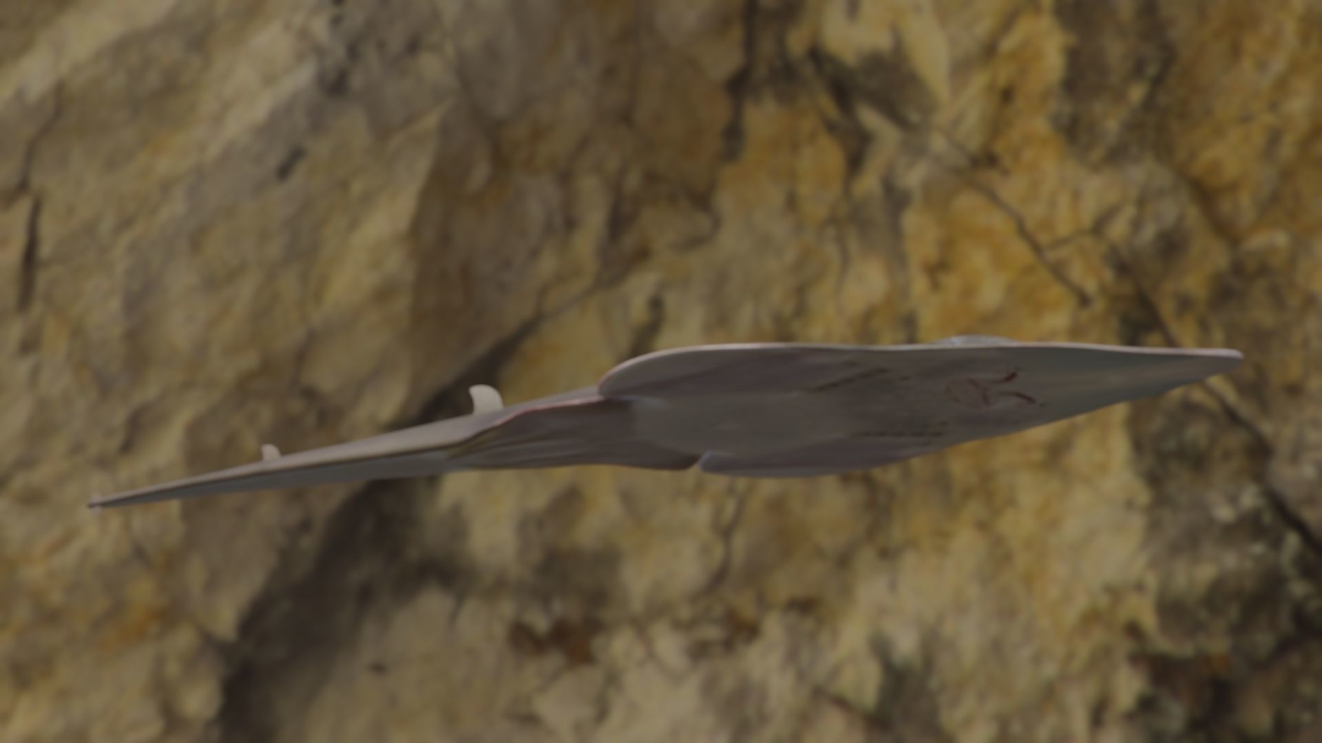 Guiltar Fish 3D model Low-poly 3D model_4