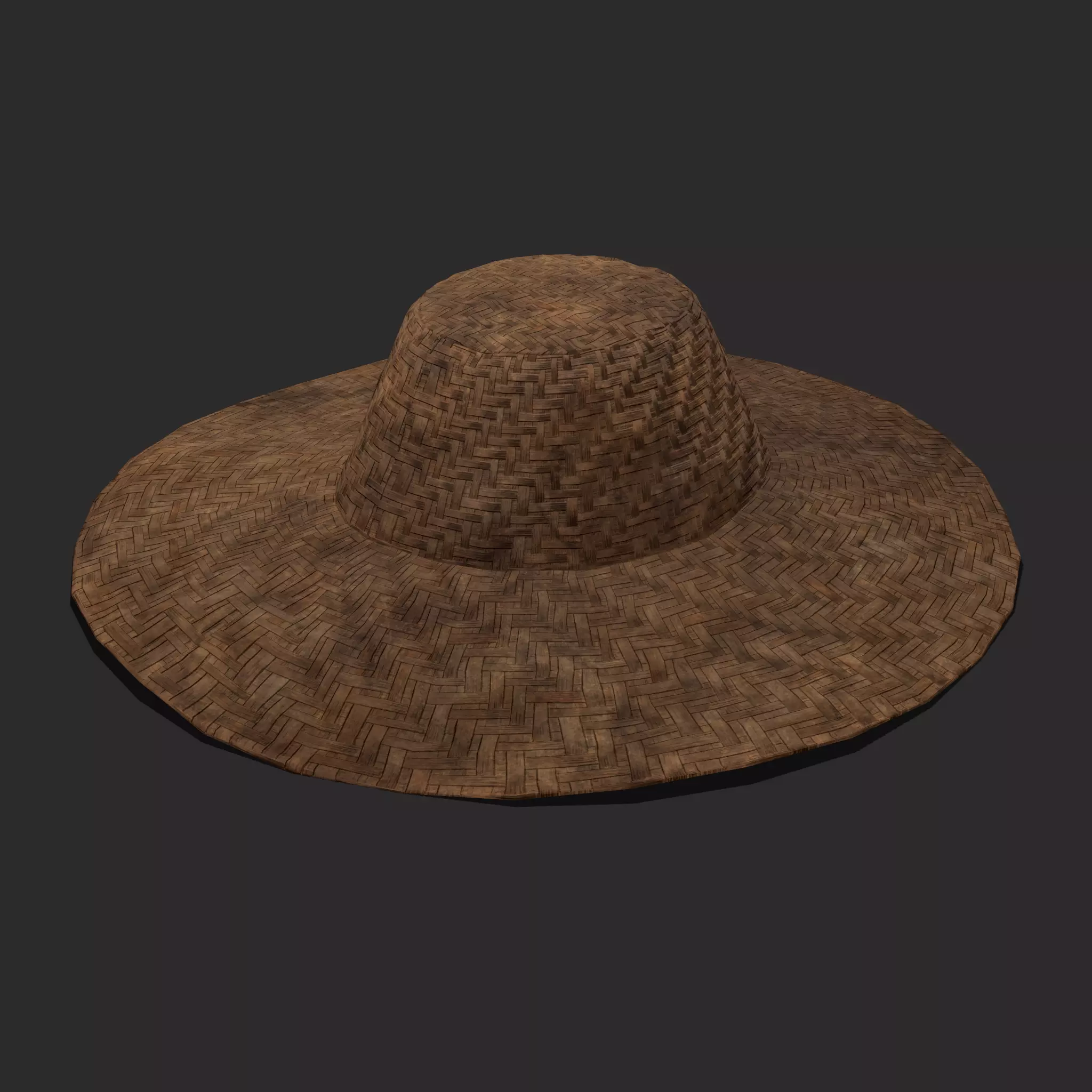 Farmers Hat Low-poly 3D model_0