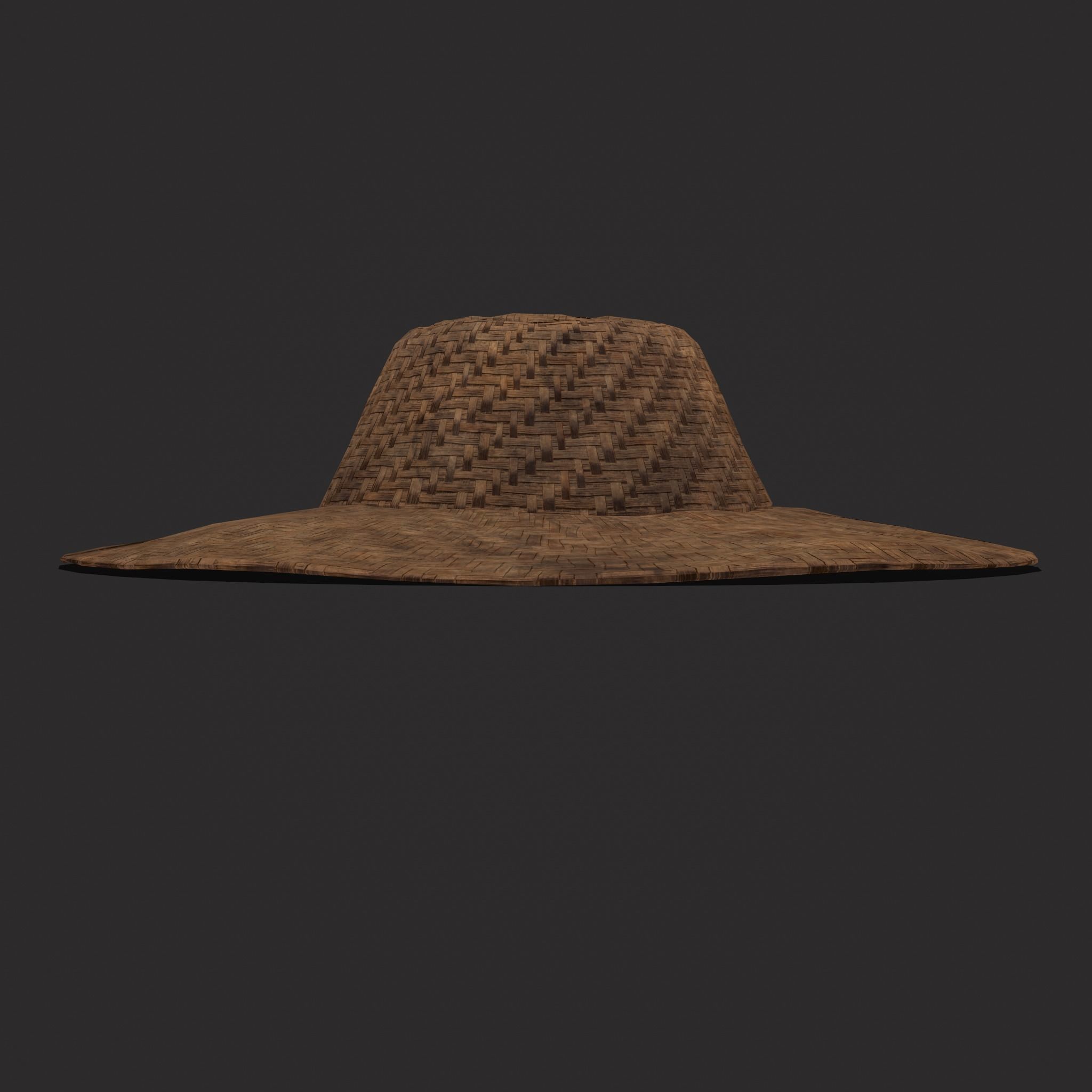 Farmers Hat Low-poly 3D model_13