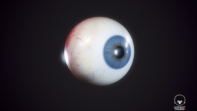  Human Realistic PBR Eyeball  Low-poly 3D model