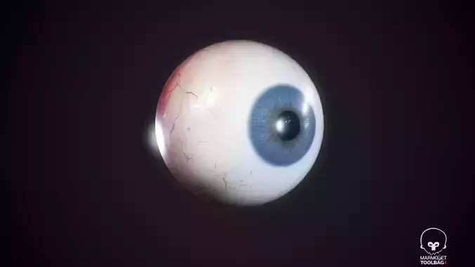  Human Realistic PBR Eyeball  Low-poly 3D model