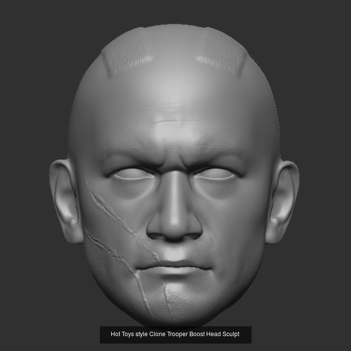 Hot Toys style Clone Trooper head sculpts 3D Model Collection_11