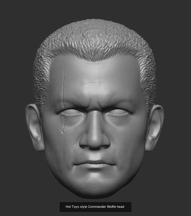 Hot Toys style Clone Trooper head sculpts 3D Model Collection_7