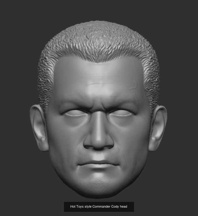 Hot Toys style Clone Trooper head sculpts 3D Model Collection_9