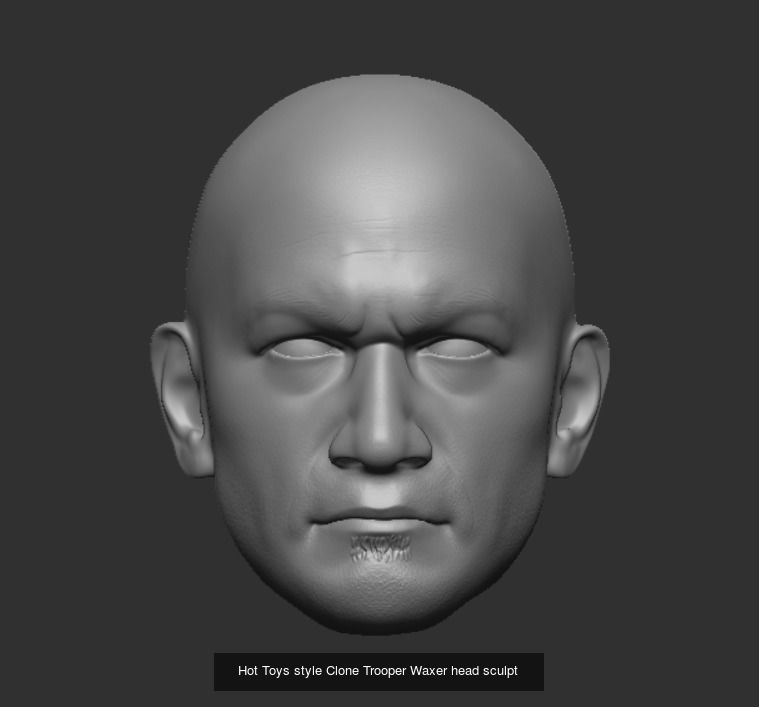 Hot Toys style Clone Trooper head sculpts 3D Model Collection_5