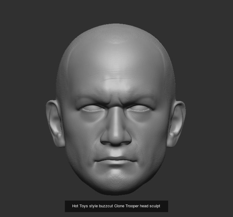 Hot Toys style Clone Trooper head sculpts 3D Model Collection_6