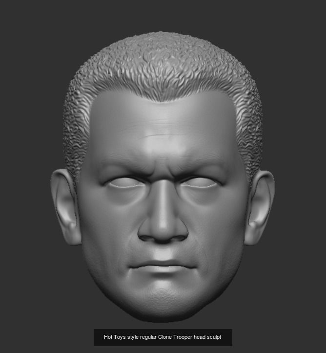 Hot Toys style Clone Trooper head sculpts 3D Model Collection_1