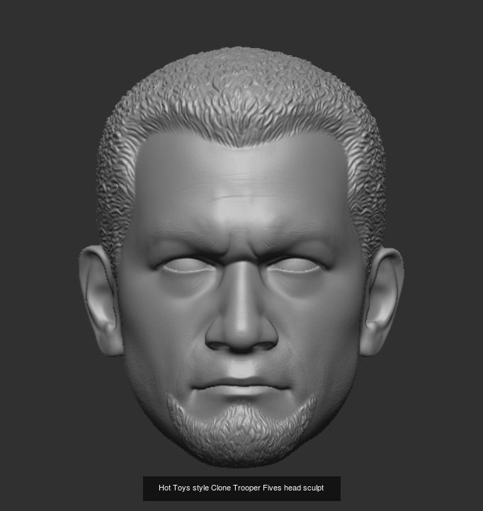 Hot Toys style Clone Trooper head sculpts 3D Model Collection_3