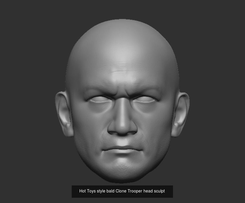 Hot Toys style Clone Trooper head sculpts 3D Model Collection_2