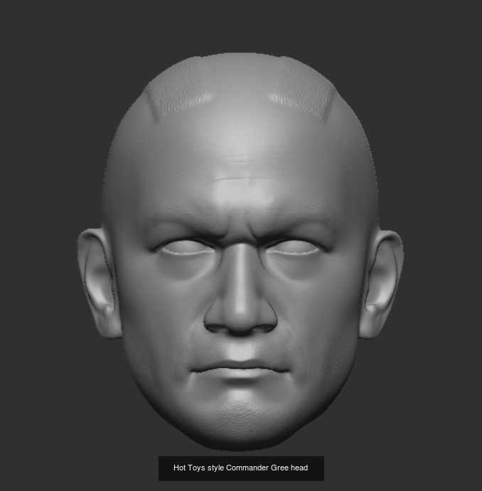 Hot Toys style Clone Trooper head sculpts 3D Model Collection_8