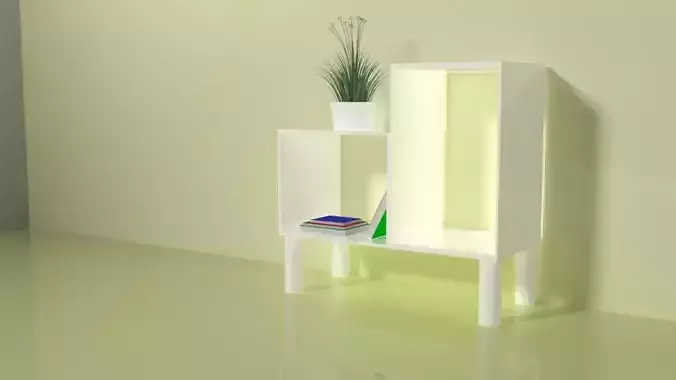 CUPBOARD shelf with plant in it