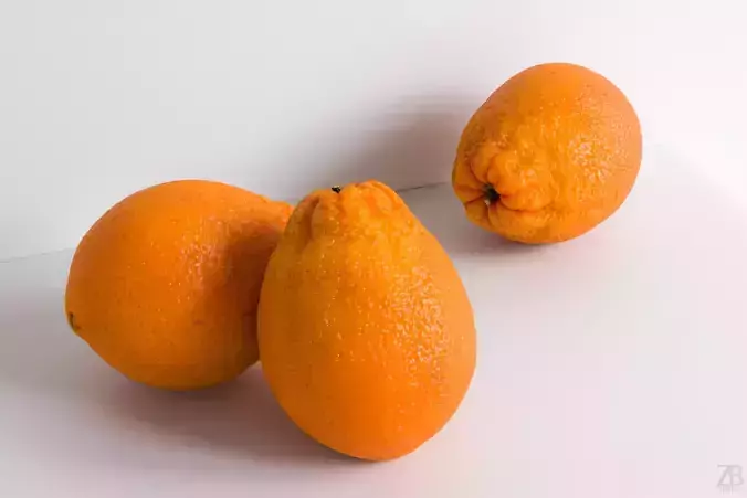 Orange 3D model