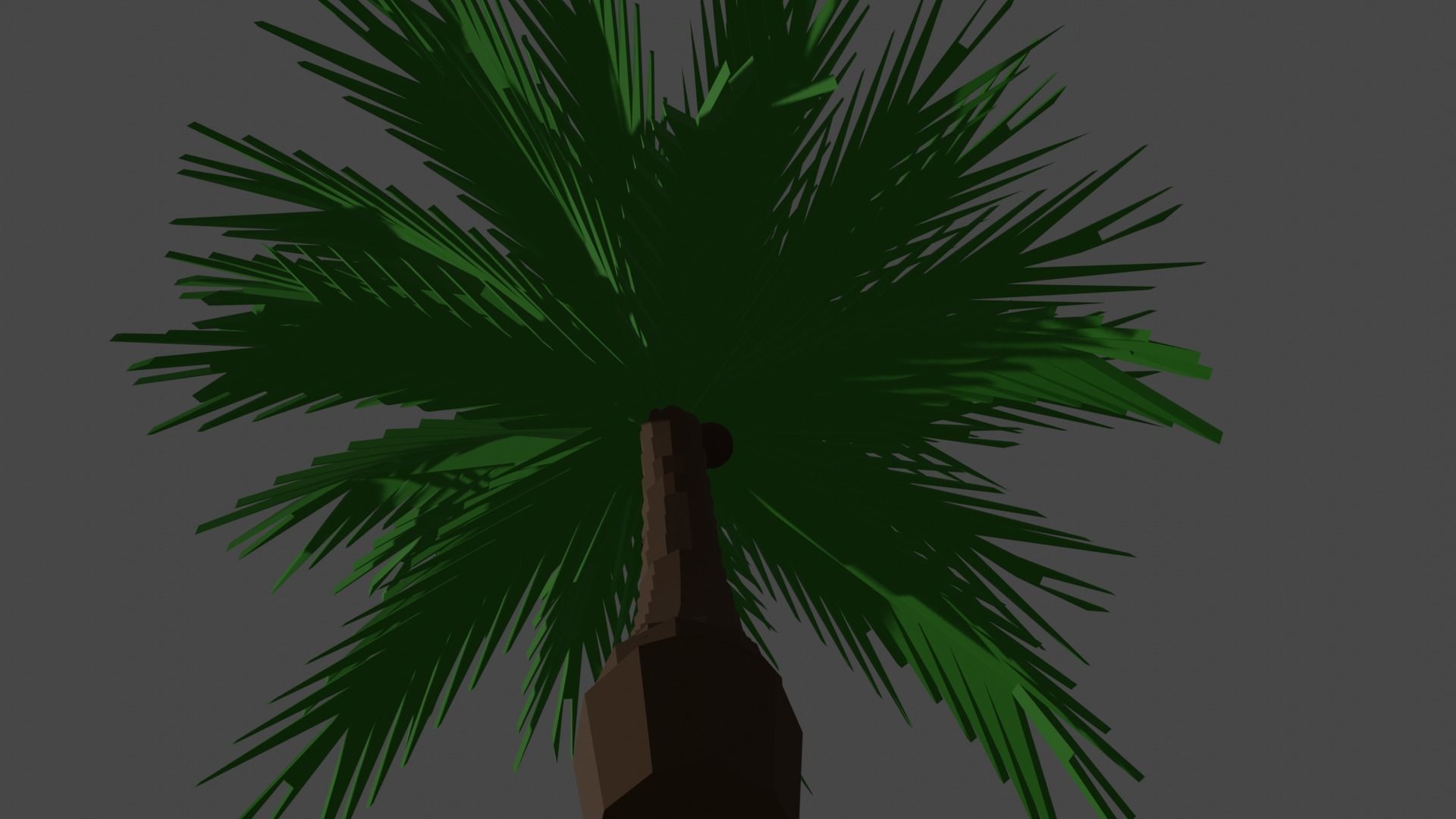 Cartoon Palm Tree Low-poly 3D model_3