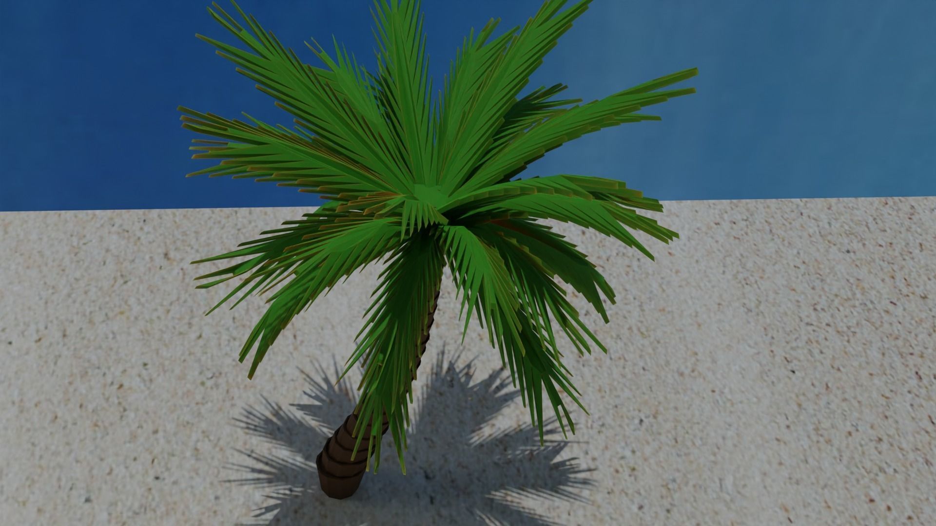 Cartoon Palm Tree Low-poly 3D model_5