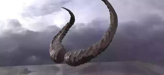 Wild Boar Horns 3D model