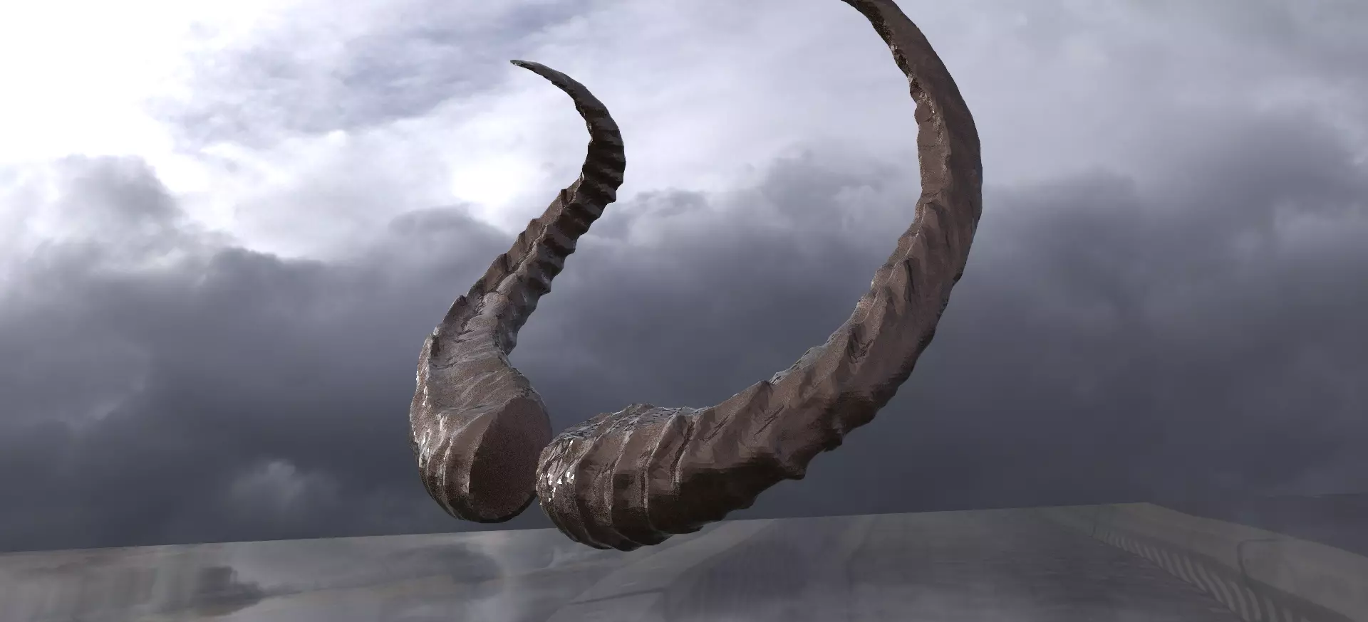 Wild Boar Horns 3D model_0