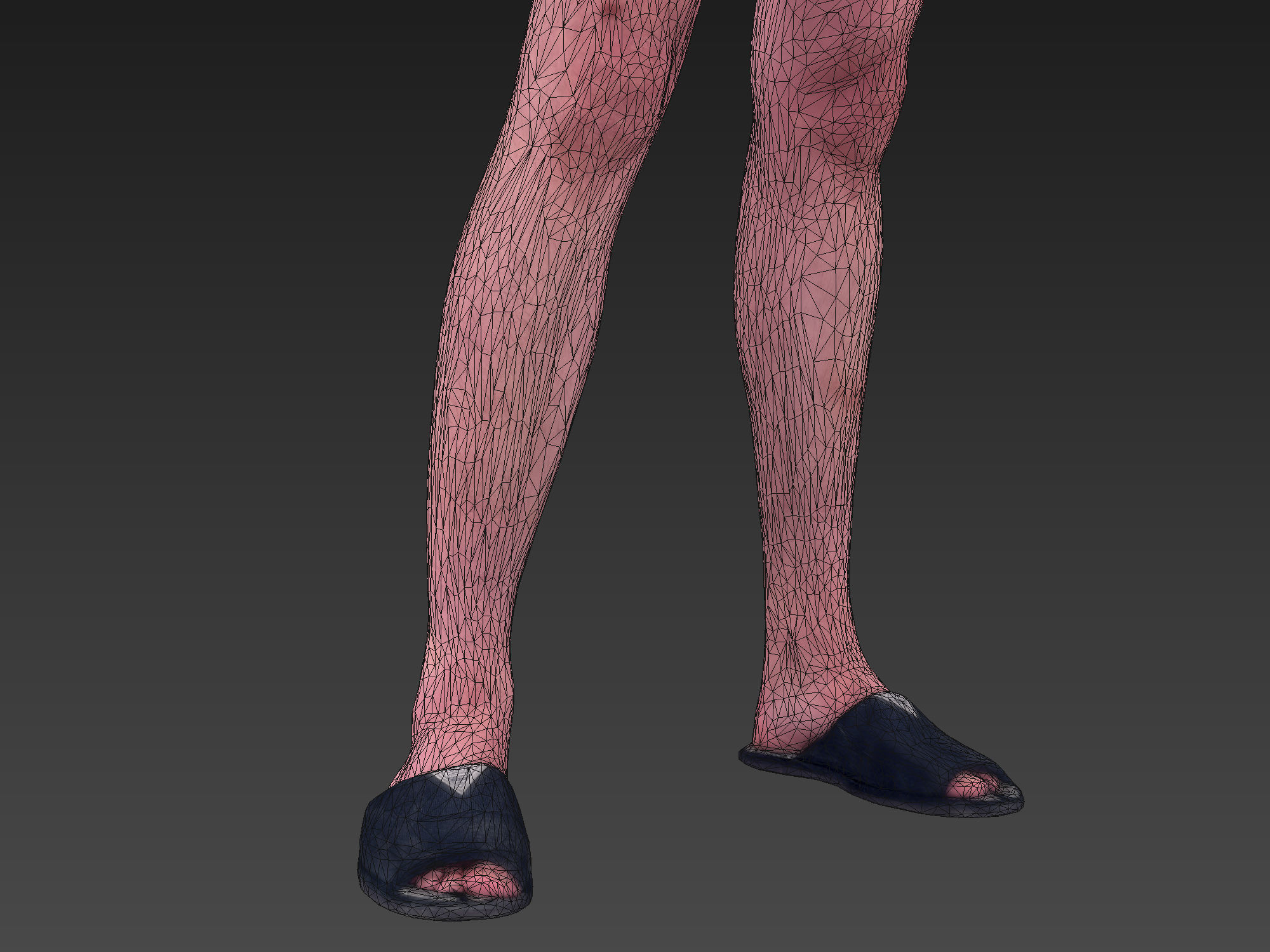 Your Beloved Neighbor 3D model_8