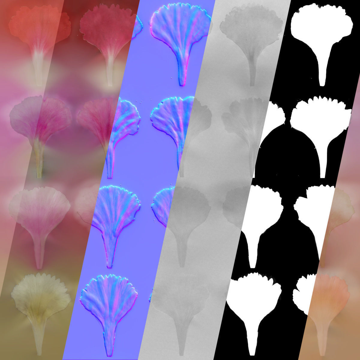 Carnation VFX Grace 3D model_19