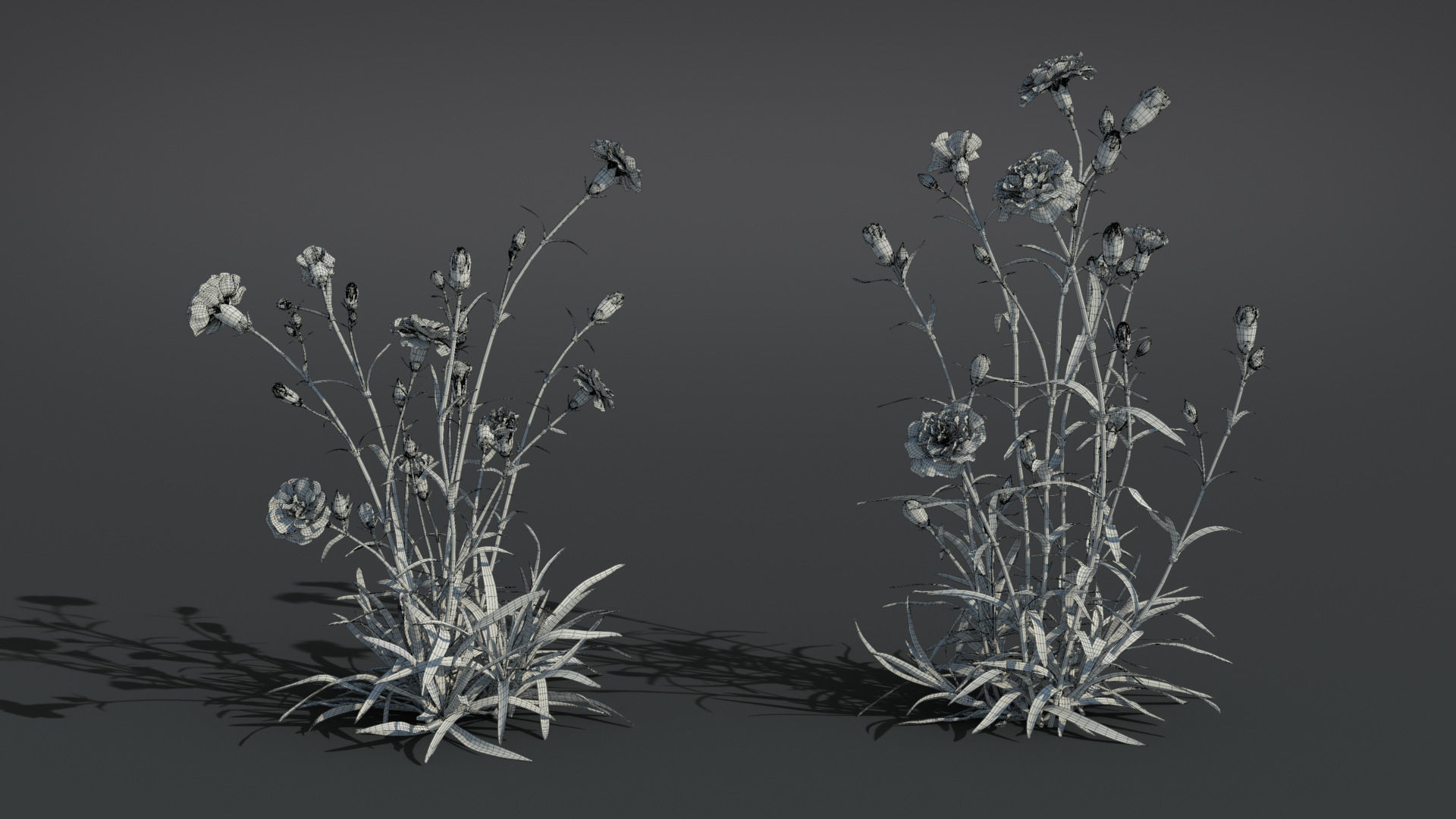 Carnation VFX Grace 3D model_9