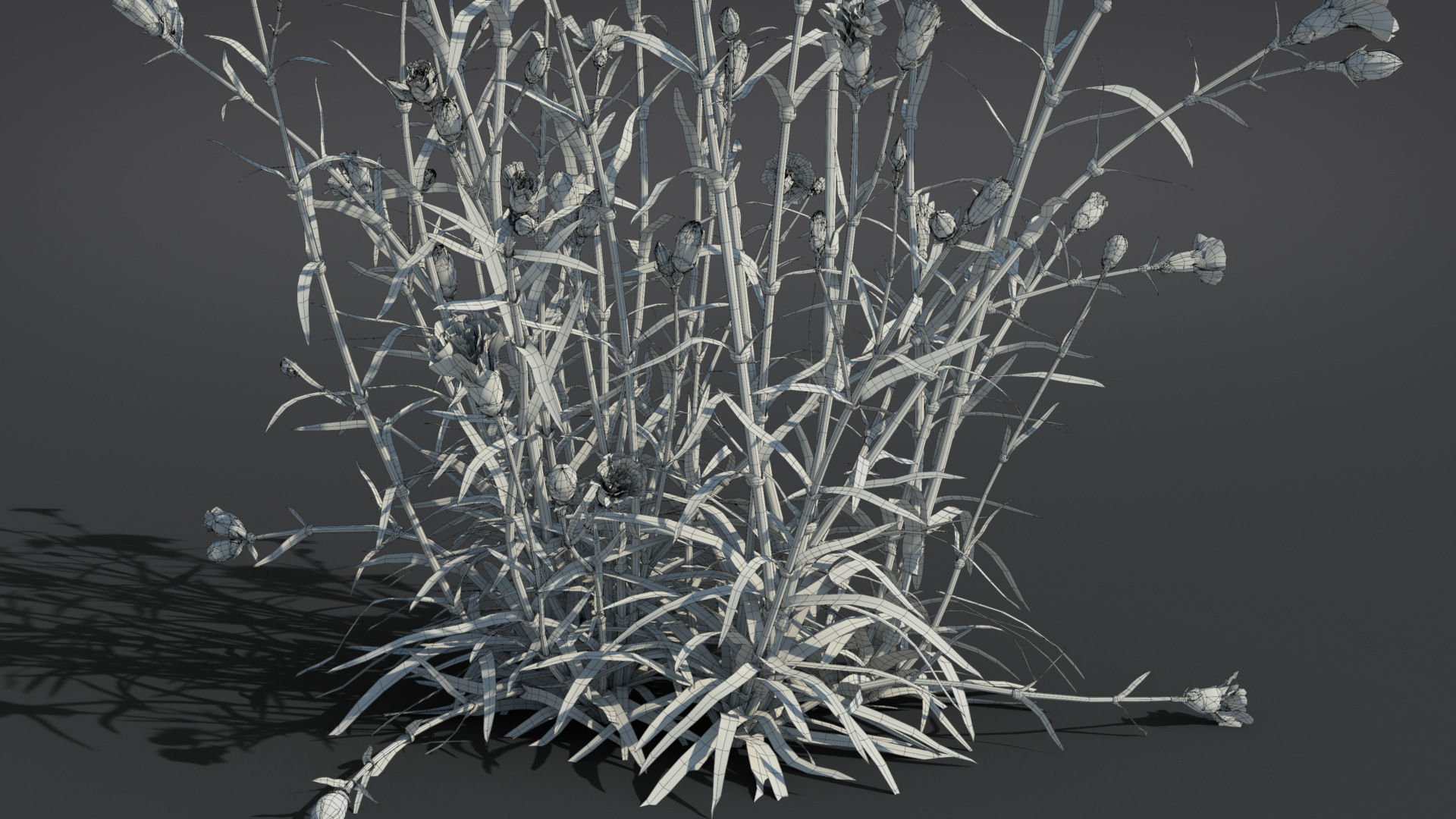 Carnation VFX Grace 3D model_14