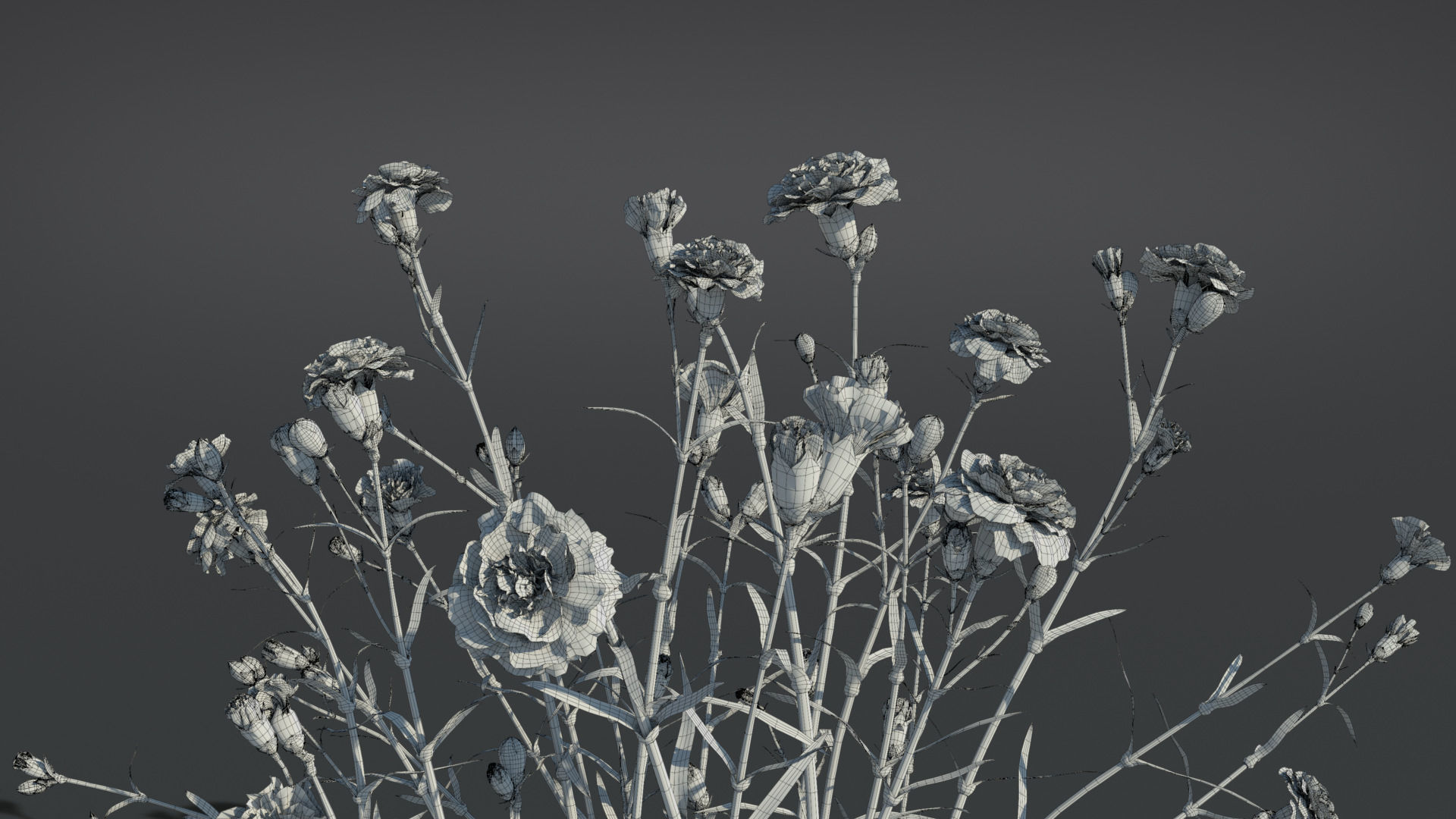 Carnation VFX Grace 3D model_10