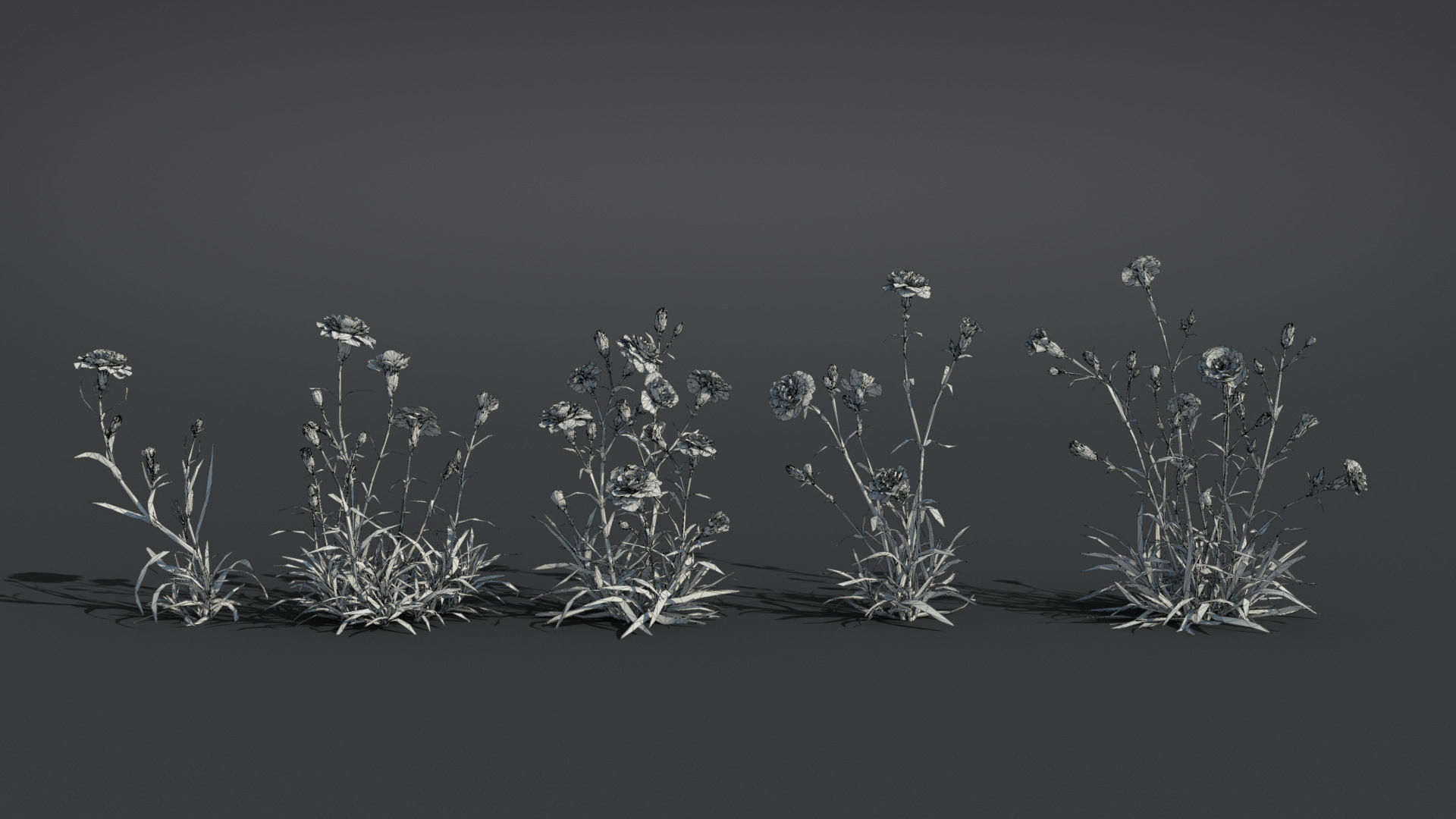 Carnation VFX Grace 3D model_11