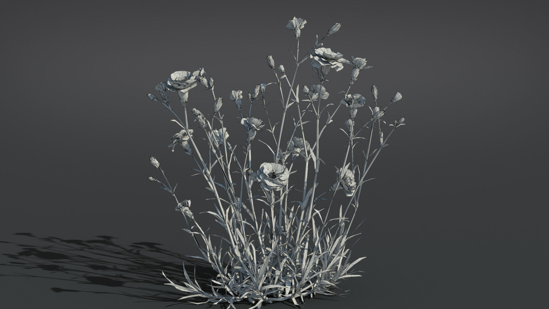 Carnation VFX Grace 3D model_12