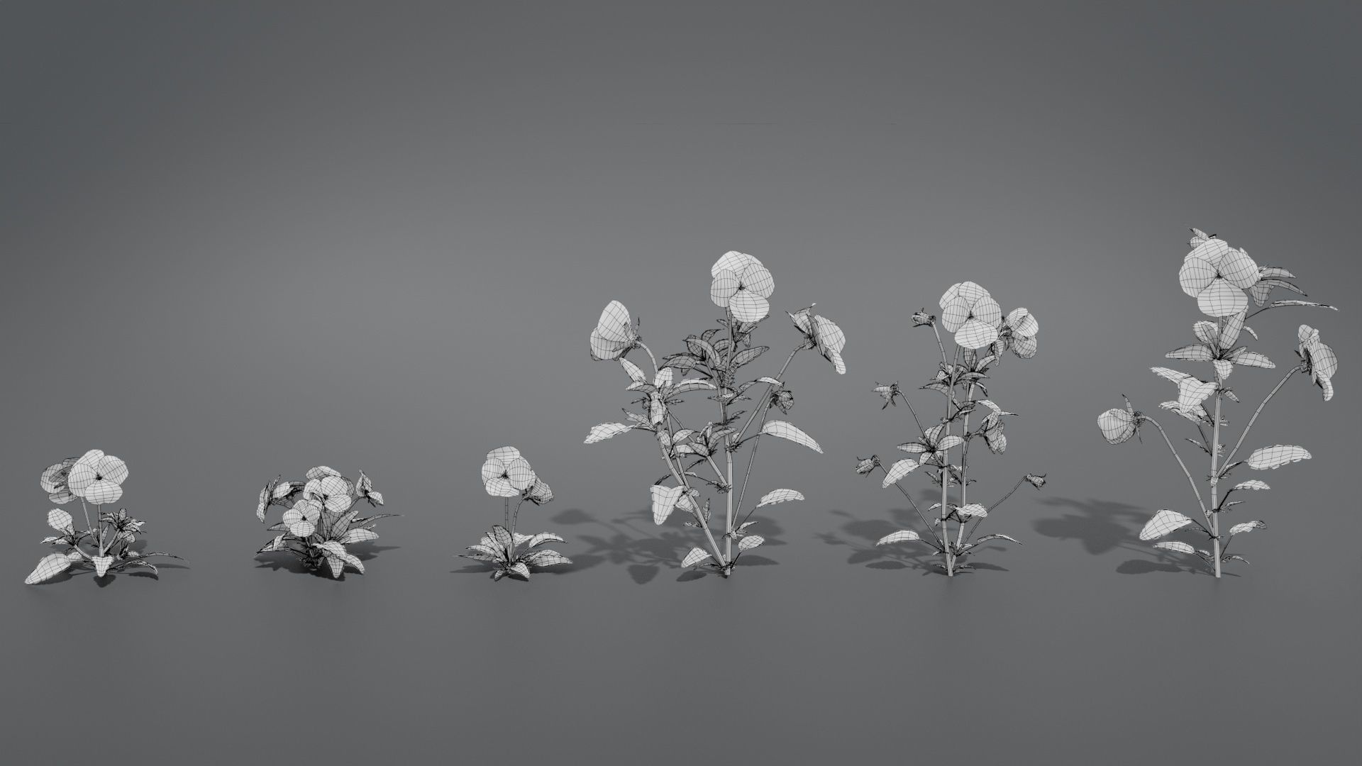 Pansy VFX Grace 3D model_13
