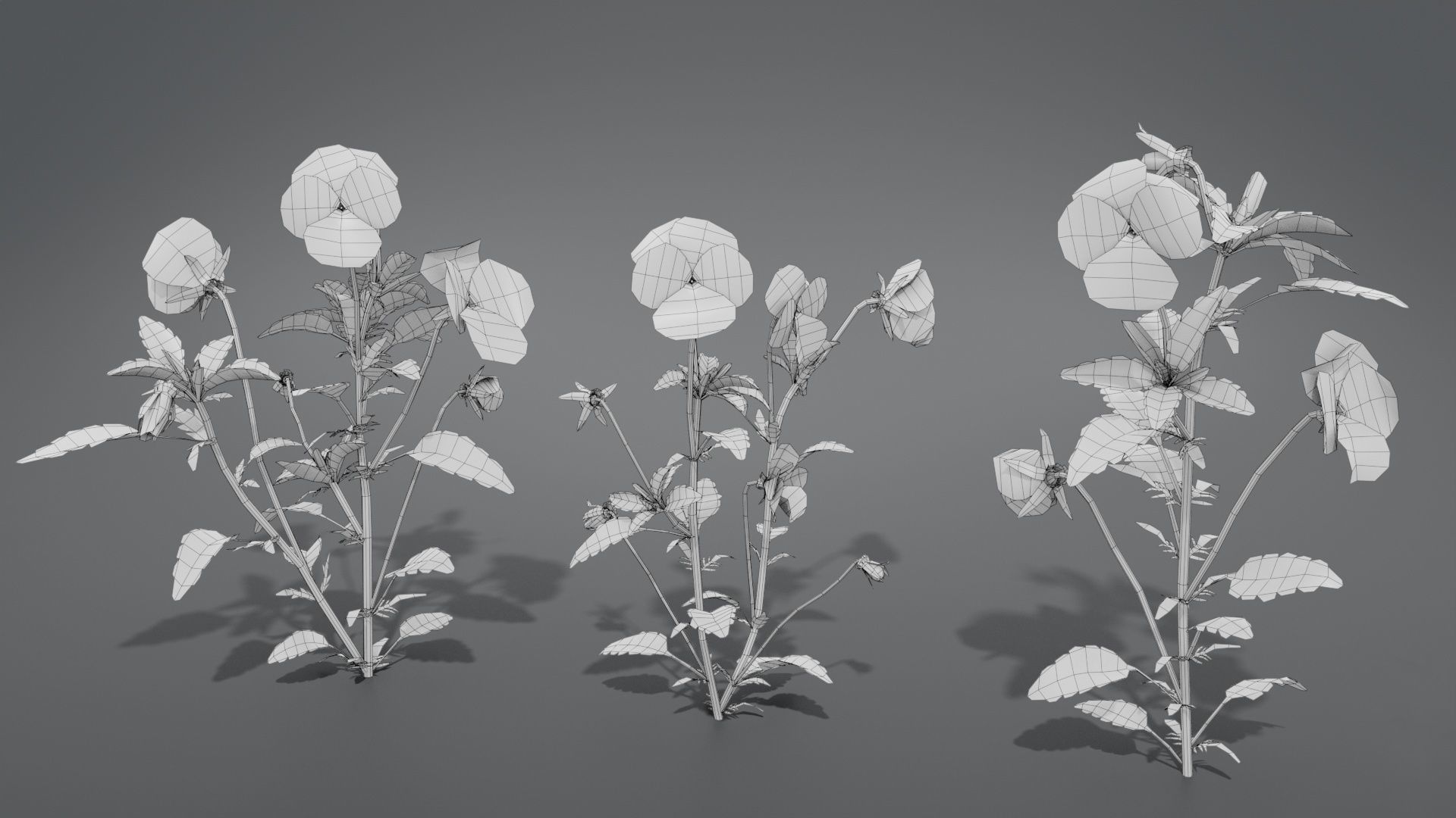 Pansy VFX Grace 3D model_9