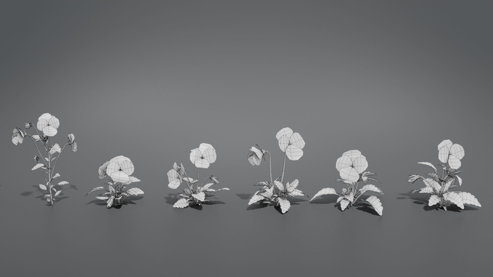 Pansy VFX Grace 3D model_7