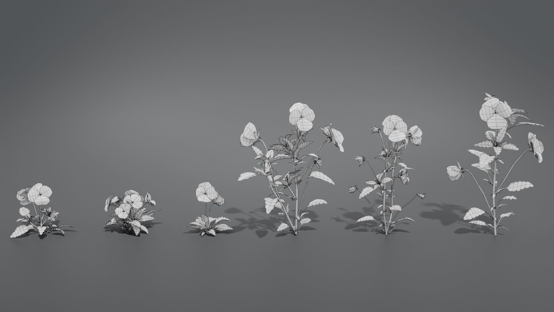 Pansy VFX Grace 3D model_12