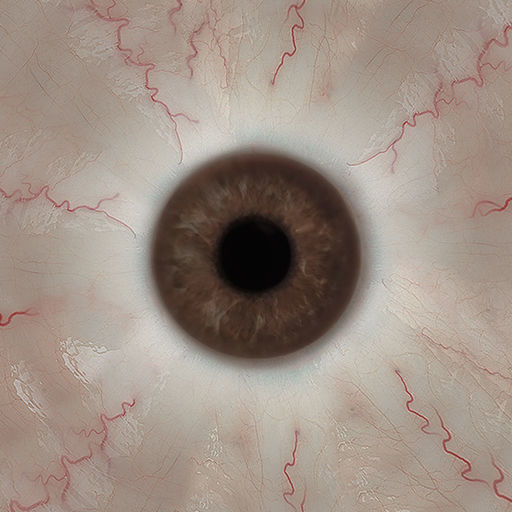 Womens Rugby Polo shirt Low-poly 3D model_23