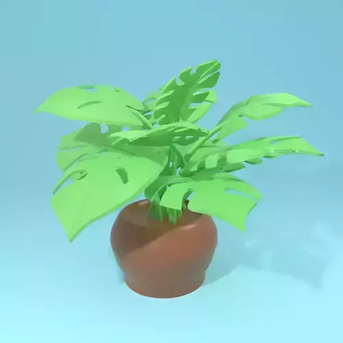 Plant Pot