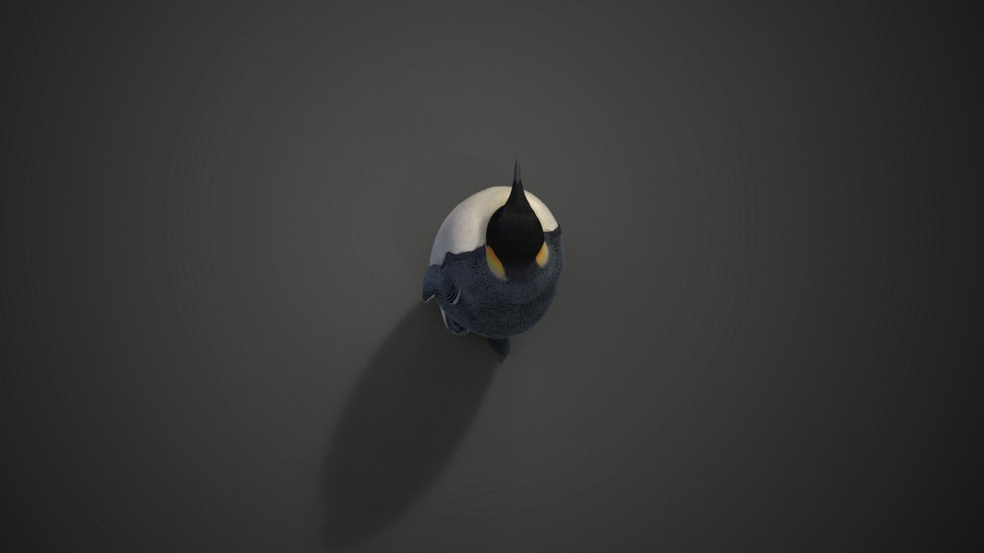 Emperor Penguin Rigged  VFX Grace 3D model_6