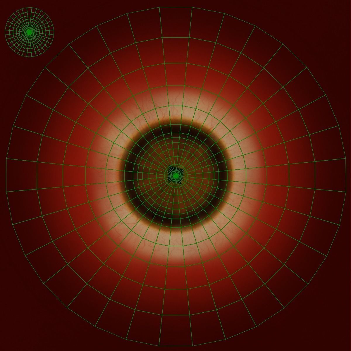 Emperor Penguin Rigged  VFX Grace 3D model_15