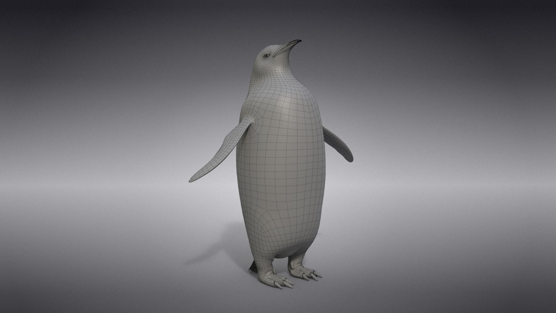 Emperor Penguin Rigged  VFX Grace 3D model_17