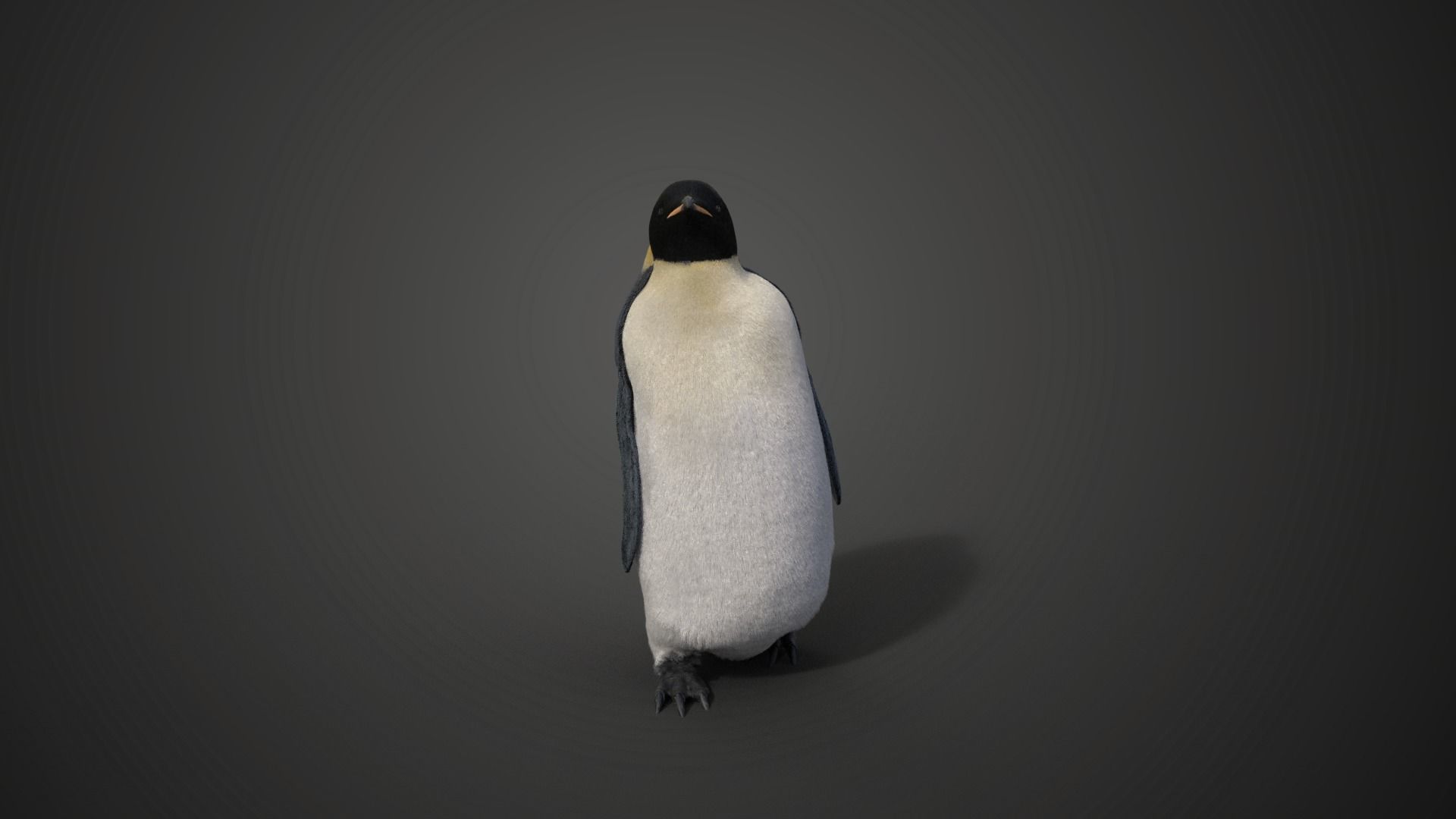 Emperor Penguin Rigged  VFX Grace 3D model_2