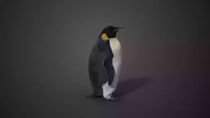 Emperor Penguin Rigged  VFX Grace 3D model