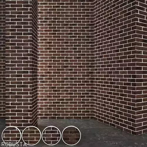 Vandersanden Brick Robusta
