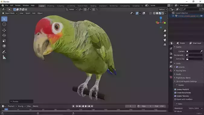 Amazon Parrot 3D Free 3D model